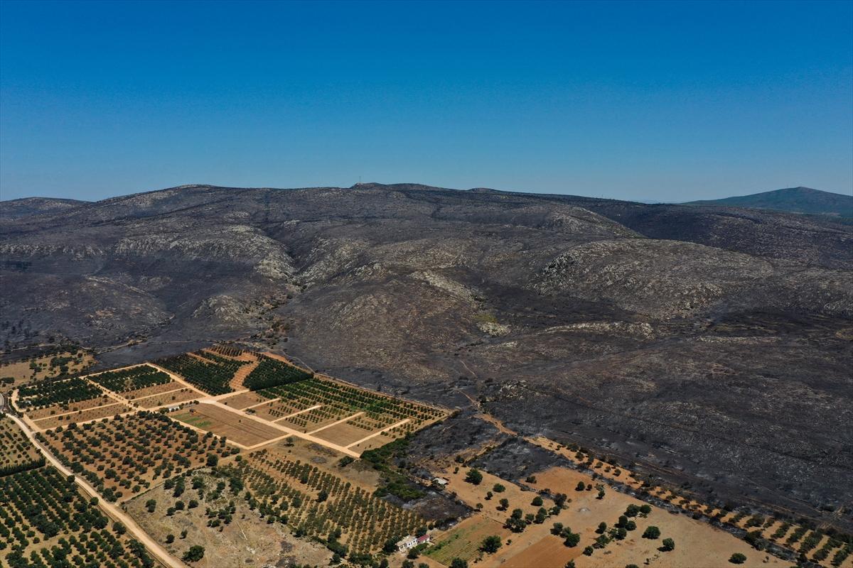 Çeşme'deki yangın havadan görüntülendi