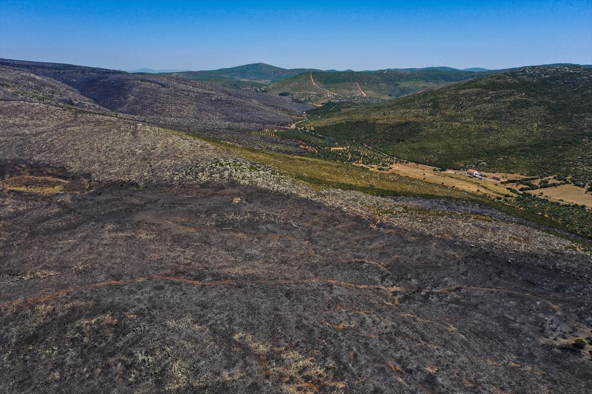 Çeşme'deki yangın havadan görüntülendi