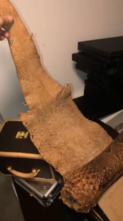 İstanbul’da ünlüleri dolandıran çeteye operasyon