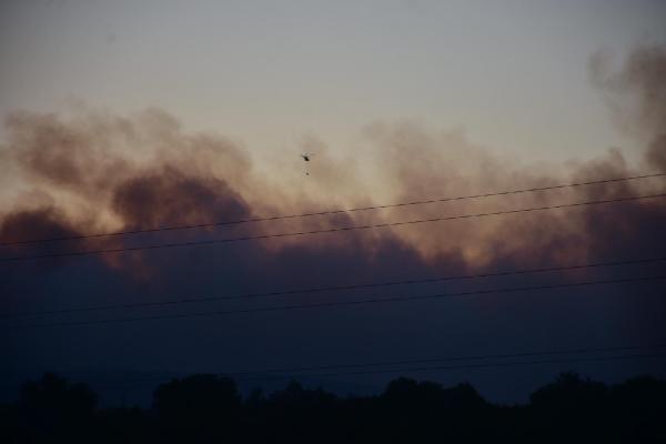 Çeşme'de çıkan yangında 4 site boşaltıldı