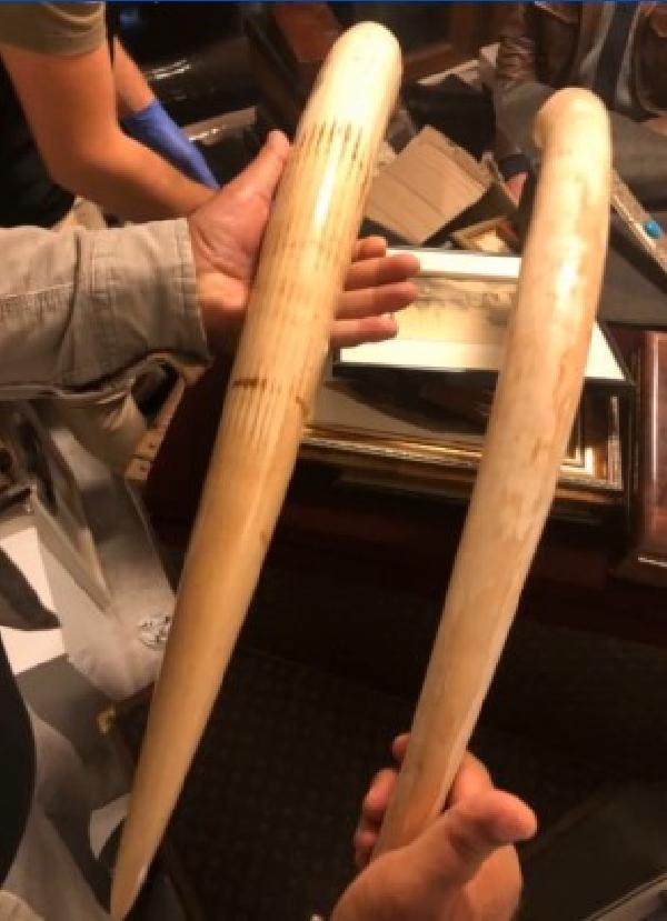 İstanbul’da ünlüleri dolandıran çeteye operasyon