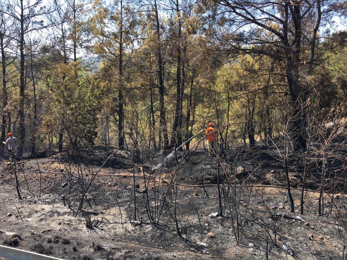 Antalya'da lastiği patlayan kamyon, yangına neden oldu