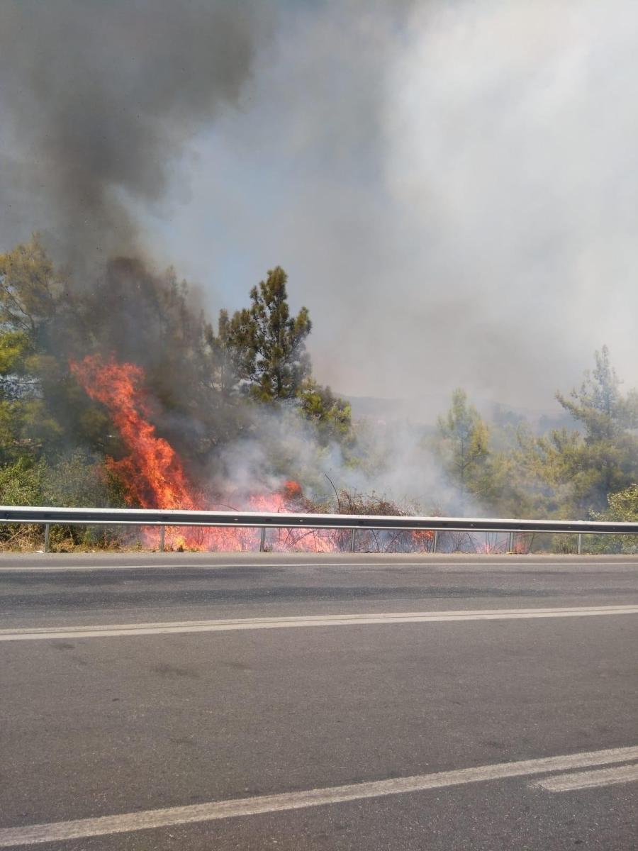 Antalya'da lastiği patlayan kamyon, yangına neden oldu