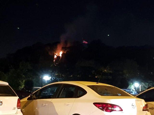 Emirgan Korusu'nda yangın çıktı