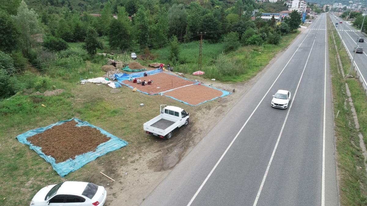 Karadeniz Sahil Yolu fındıkla doldu