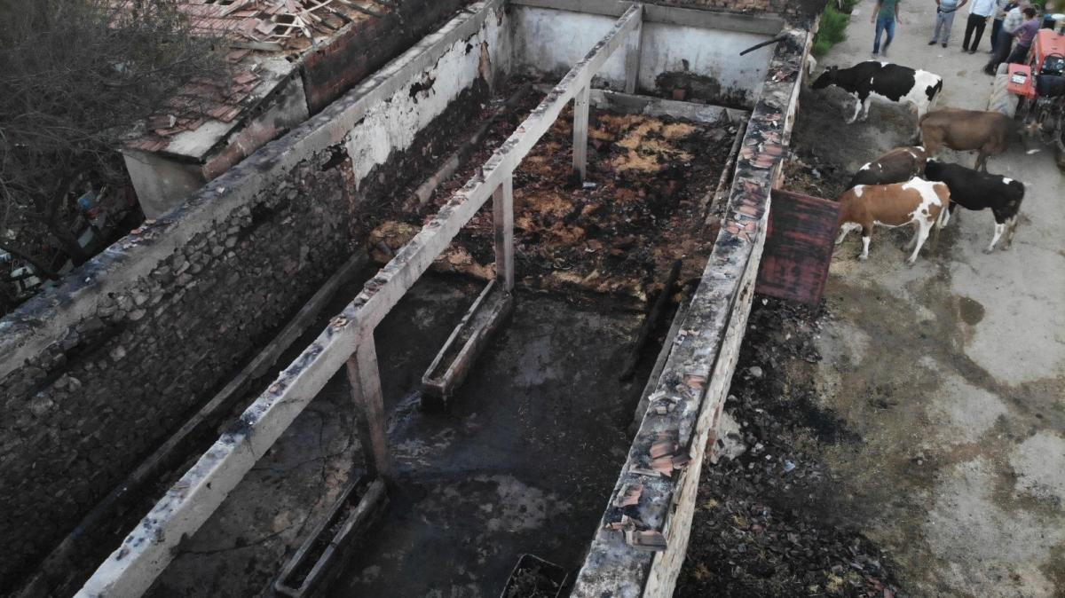 Kırıkkale'de ahırda çıkan yangında 8 hayvan telef oldu