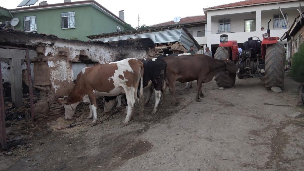 Kırıkkale'de ahırda çıkan yangında 8 hayvan telef oldu