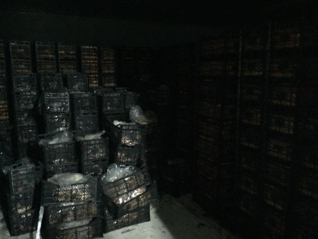 Adana'da Furkan Vakfı, fakirlere dağıtacağız diye 41 ton et topladı