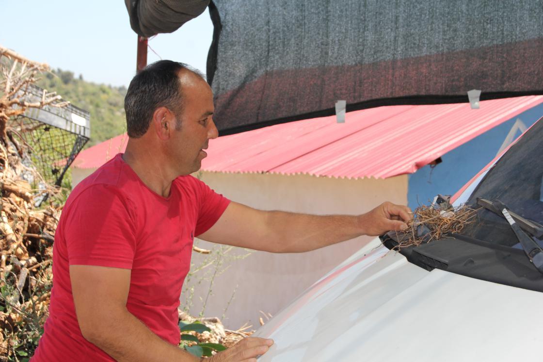 Mersinli çiftçi, kuş yuvası olan kamyonetini kullanmıyor