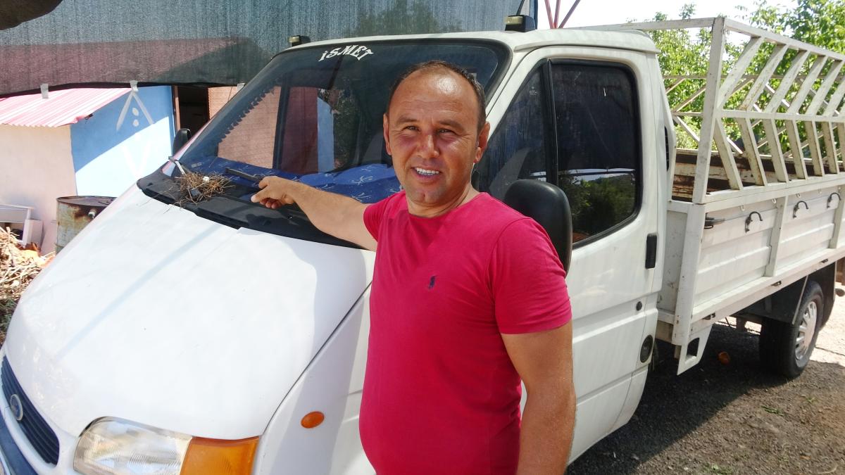 Mersin'de kamyonetin sileceğine yuva yapan kumru