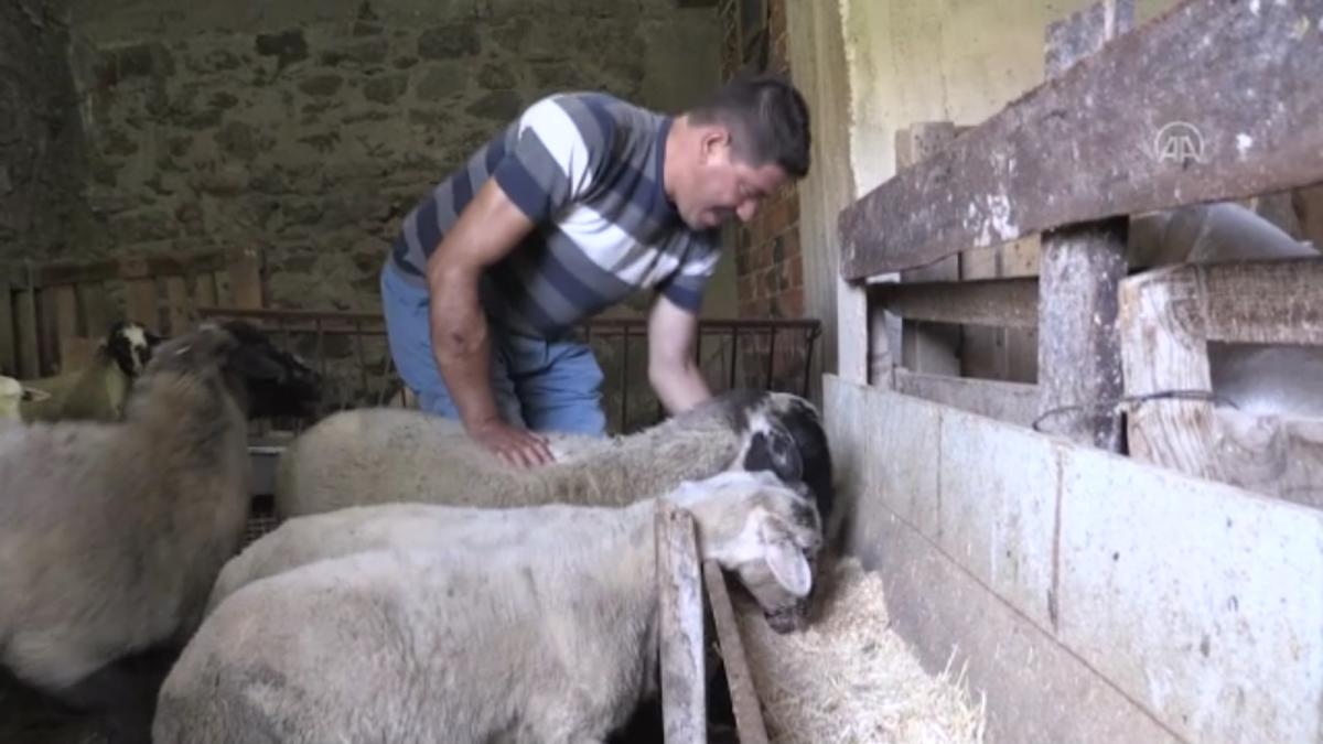 Türkiye'nin ilk çift kol nakilli Cihan Topal, kollarına gözü gibi bakıyor
