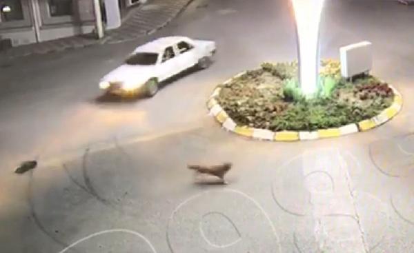 Tokat'ta drift yapan alkollü sürücüye para cezası