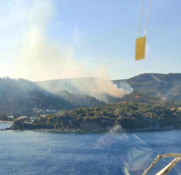 Bodrum'da orman yangını meydana geldi