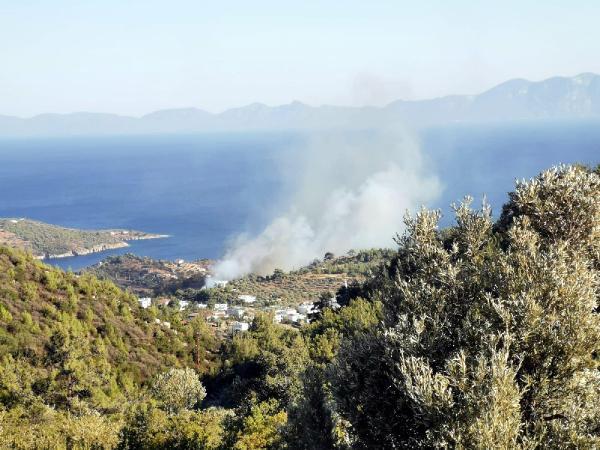 Bodrum'da orman yangını meydana geldi