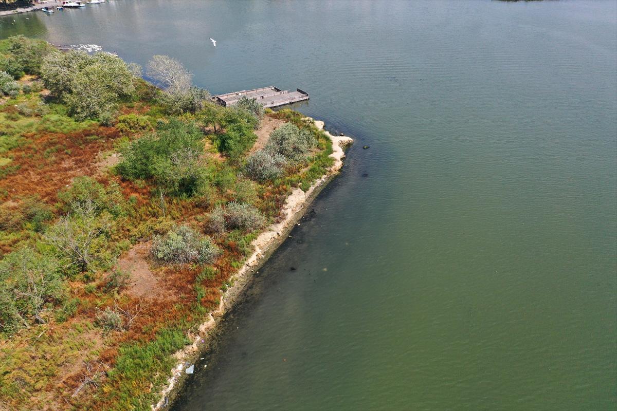 Haliç'te suyun rengi değişti