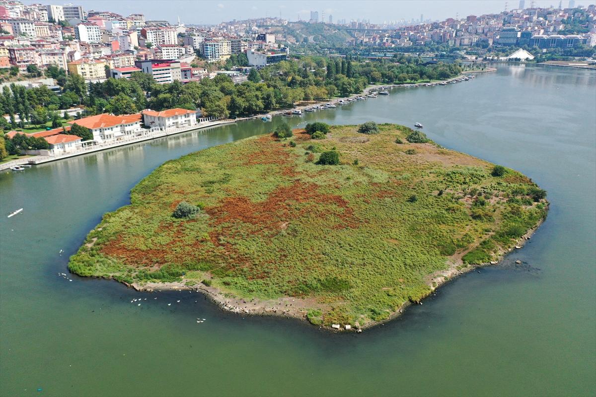 Haliç'te suyun rengi değişti