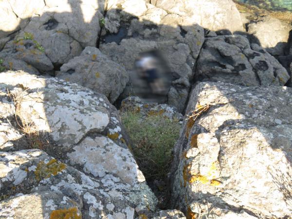 Beykoz’da kampa giren gencin cesedi kayalıklarda bulundu