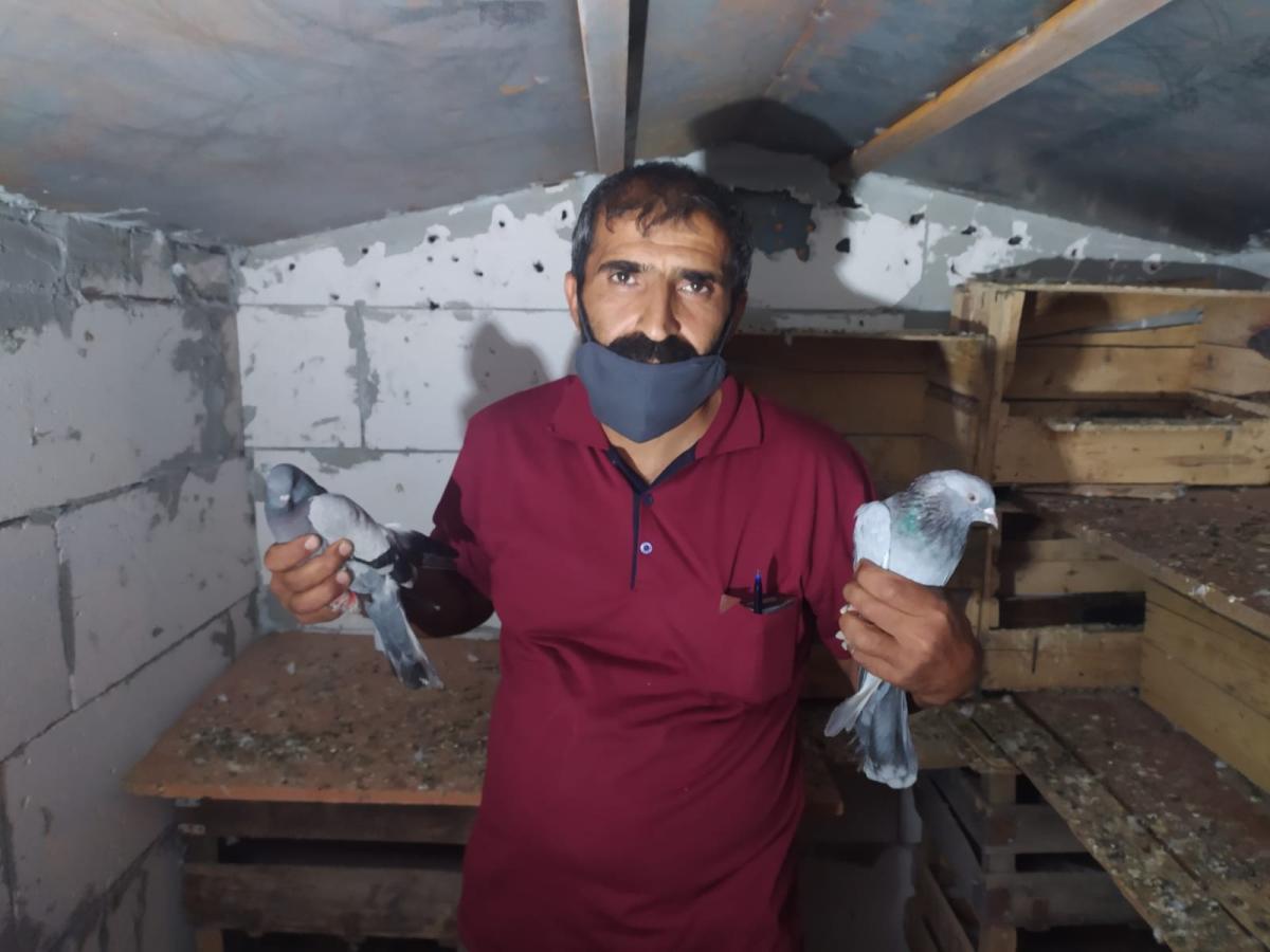 Bursa'da 100 bin lira değerindeki güvercinler çalındı