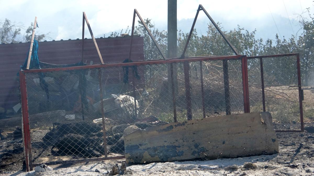 Adana'da Hatice Teyze, yangında can veren hayvanları için ağladı