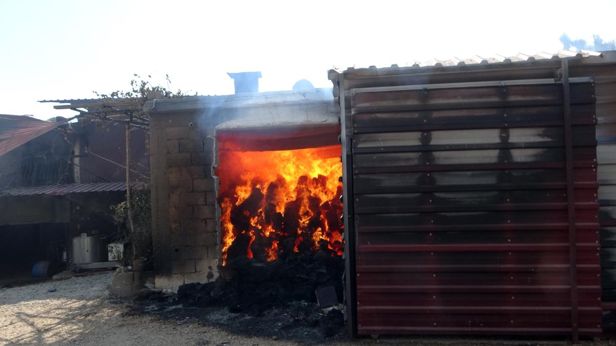Adana'da Hatice Teyze, yangında can veren hayvanları için ağladı
