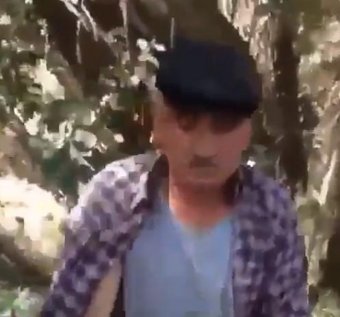 Sivas'ta köpeğe tecavüz eden adama suçüstü