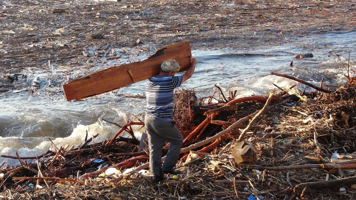Giresun'da sel nedeniyle ağaçlar denize sürüklendi