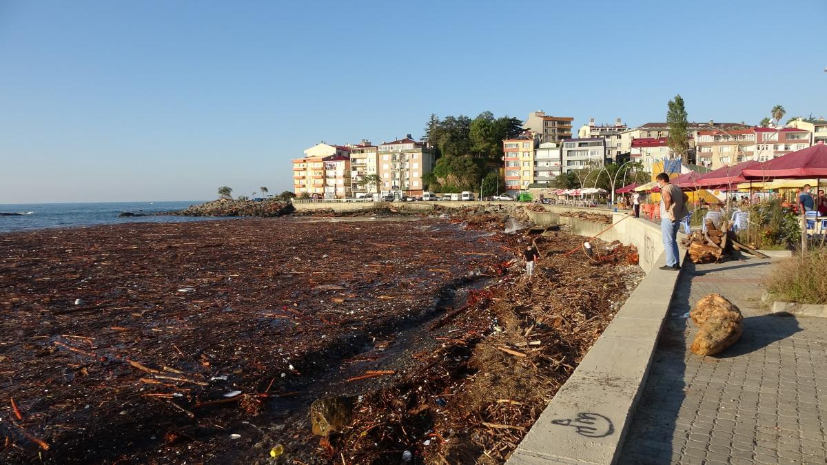 Giresun'da sel nedeniyle ağaçlar denize sürüklendi
