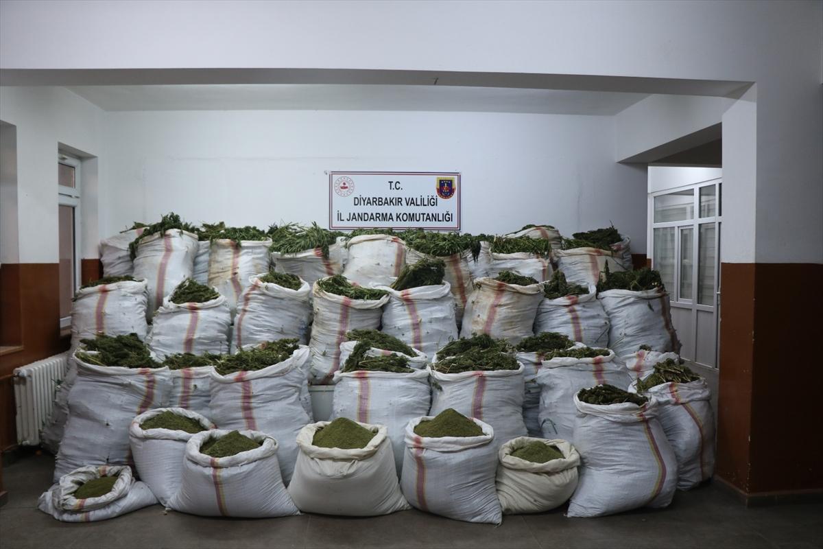 Diyarbakır'da PKK'nın finans kaynağına darbe: 4,5 milyon kök kenevir, 800 kilo esrar