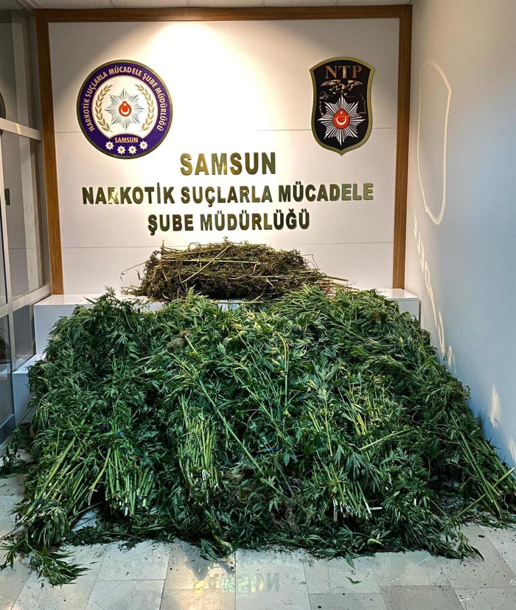 Samsun'daki köpek bakım çiftliğinde 10 kilo esrar ele geçirildi