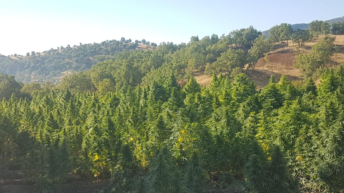 Diyarbakır'da  'Yıldırım-7 Lice Narko-Terör Operasyonu' başladı