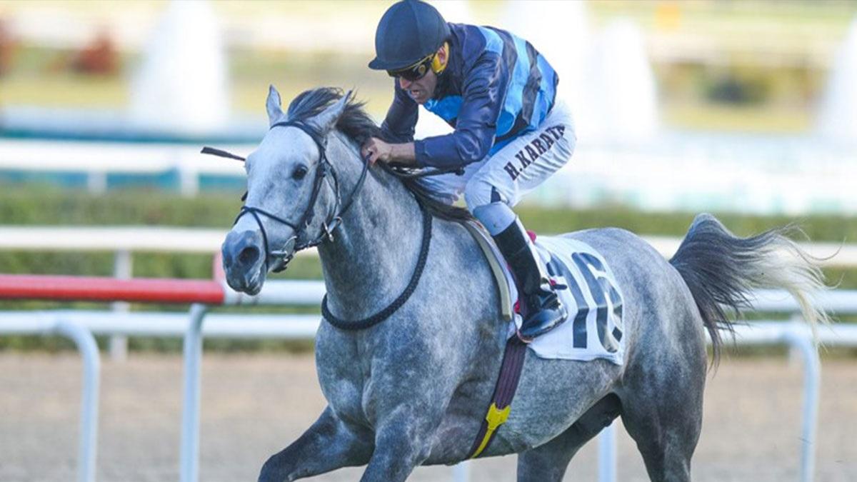 Halis Karataş kimdir? Halis Karataş kaç yaşında? Halis Karataş nereli? Gazi koşusunu kaç kez kazandı