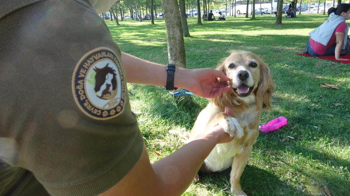 'Doğa ve hayvan polisi' görev başında