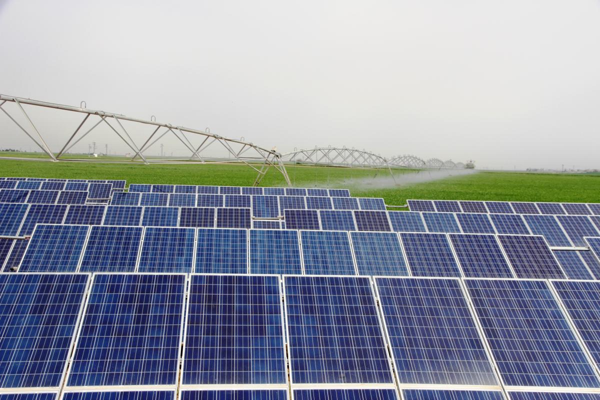 Şanlıurfa'da güneş elektriğe dönüşüyor