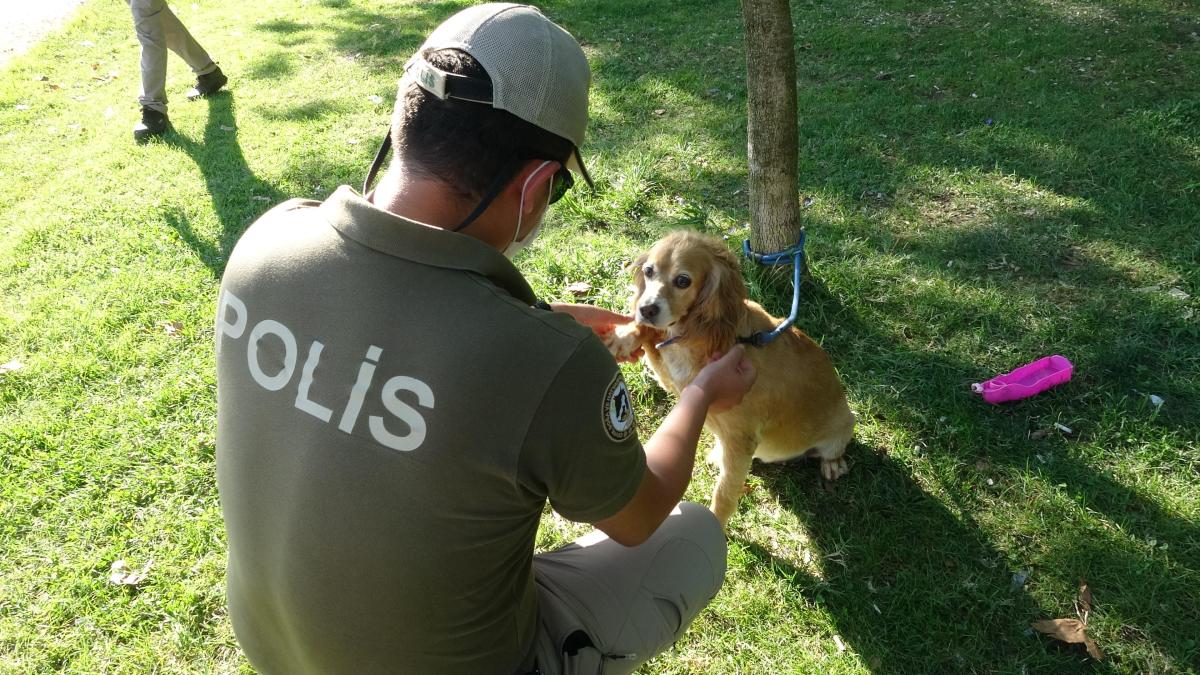 'Doğa ve hayvan polisi' görev başında