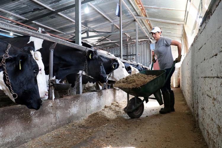 İstanbul'un stresinden kaçarak eşinin köyünde çiftlik kurdu