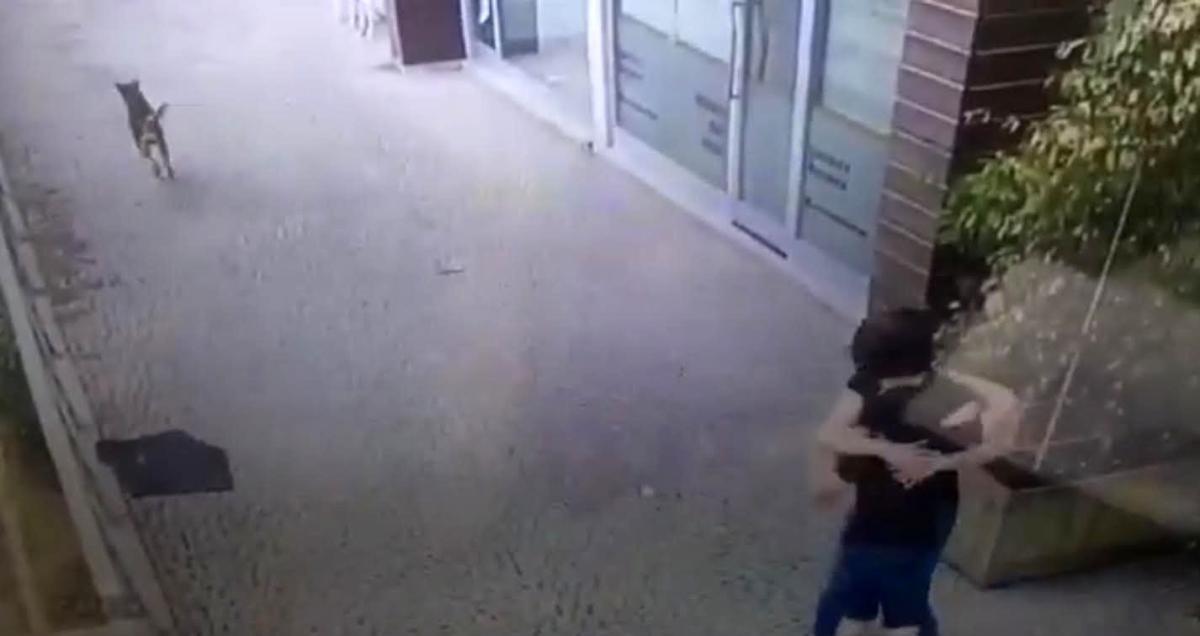 Eyüpsultan'da çocuğa köpek saldırısı