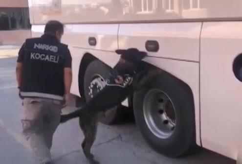 Kocaeli'de yolcu otobüsünden 30 kilo 800 gram eroin çıktı