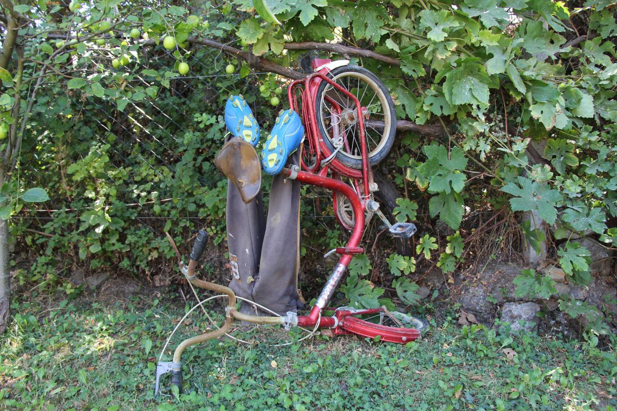 Konya'da Kezban Teyze'nin bahçesi görenleri şaşırtıyor