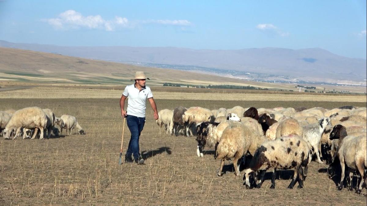 Çobanlık yaparken üniversiteye hazırlanan Vanlı Muhammet, tıp fakültesini kazandı