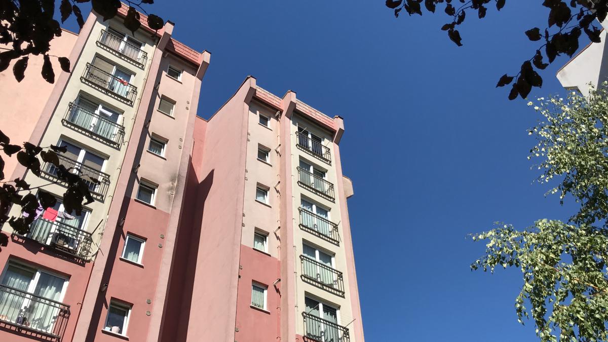 Esenyurt'ta dayısını önce dövdü sonra bıçaklayarak öldürdü