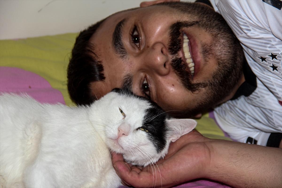 Kars'ta sağlık personeli, bulduğu yaralı kediye sahip çıktı