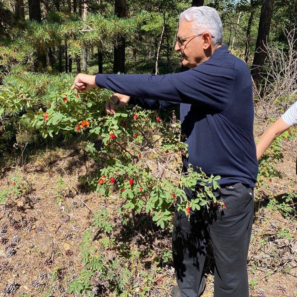 Binali Yıldırım, memleketi Erzincan'dan fotoğraflar paylaştı