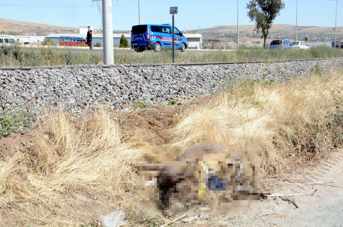 Kayseri'de eşek üzerinde raylardan geçen 2 arkadaşa tren çarptı, biri öldü