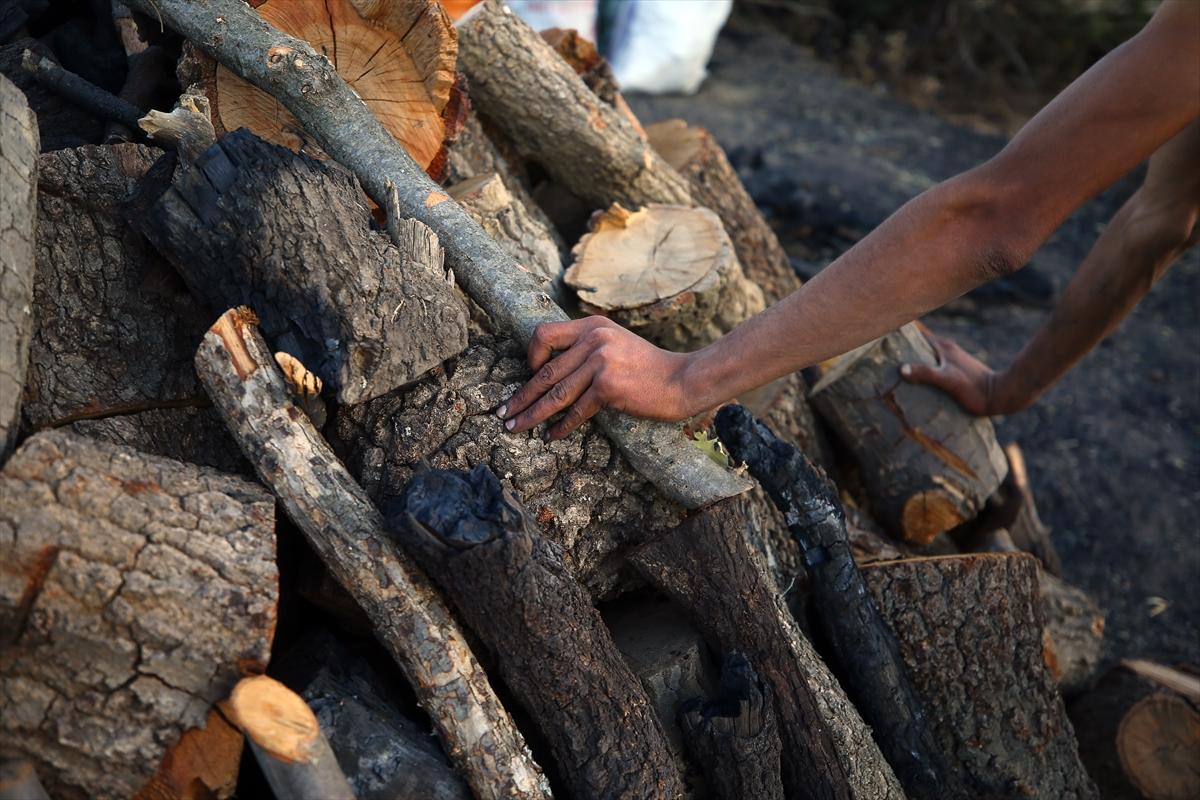Konya'da mangal kömürü üreticilerinin zorlu mesaisi