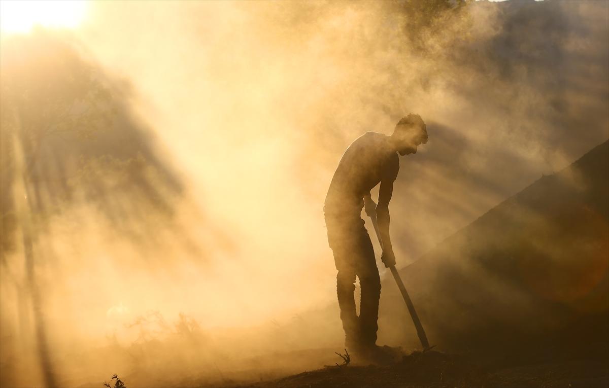Konya'da mangal kömürü üreticilerinin zorlu mesaisi