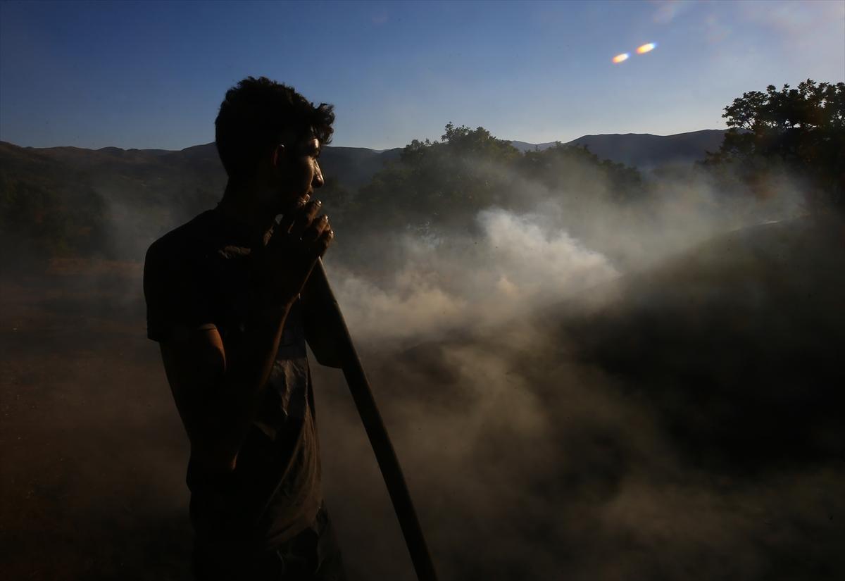 Konya'da mangal kömürü üreticilerinin zorlu mesaisi