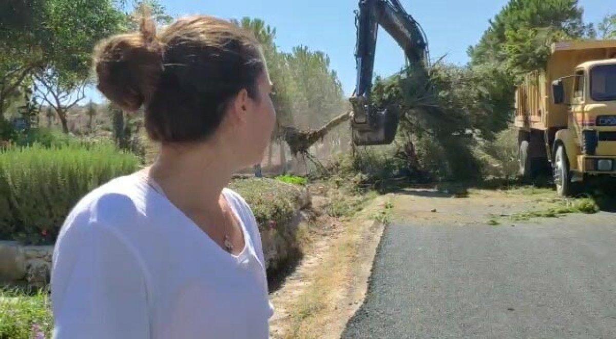 İzmir'de CHP'li belediyenin ağaç katliamı genç kızı gözyaşlarına boğdu