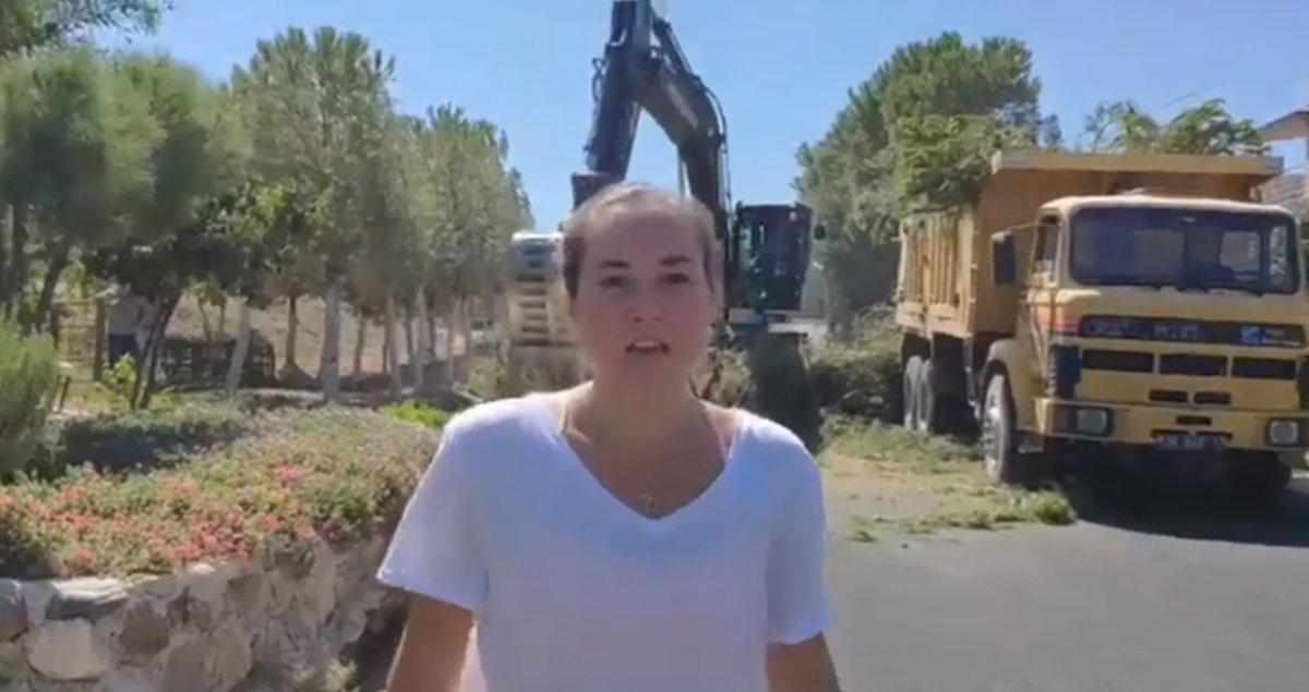 Gezi Parkı olaylarının ünlü isimleri İzmir'deki ağaç katliamına sessiz