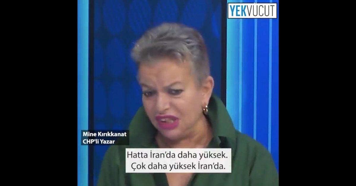 Mine Kırıkkanat, Türk milletine hakaret etti