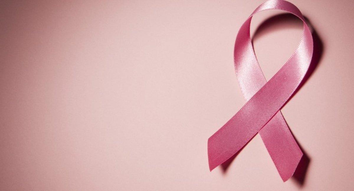 Meme kanserine karşı 'bal arısı zehri' etkili geldi